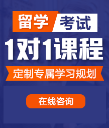 舔吸干大鸡吧视频在线免费播放留学考试一对一精品课